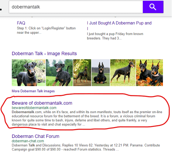 dobermantalk.com search results screenshot